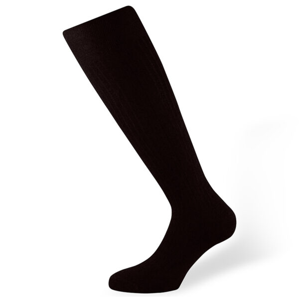 filo di scozia socks