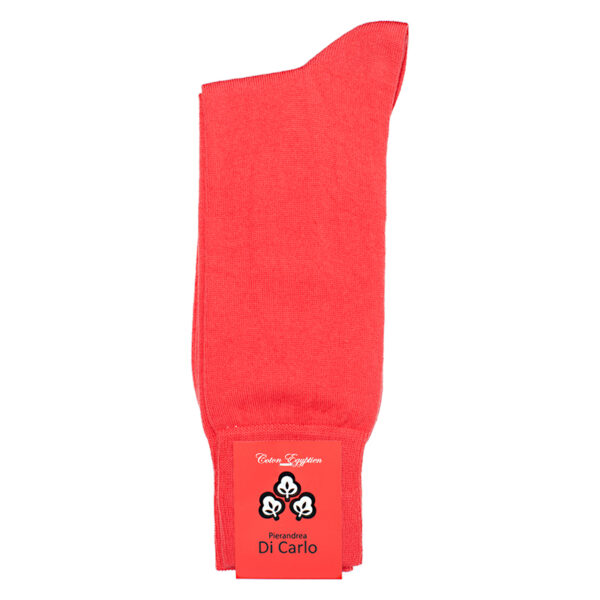 PDC HYPE CH_10 Corail_B